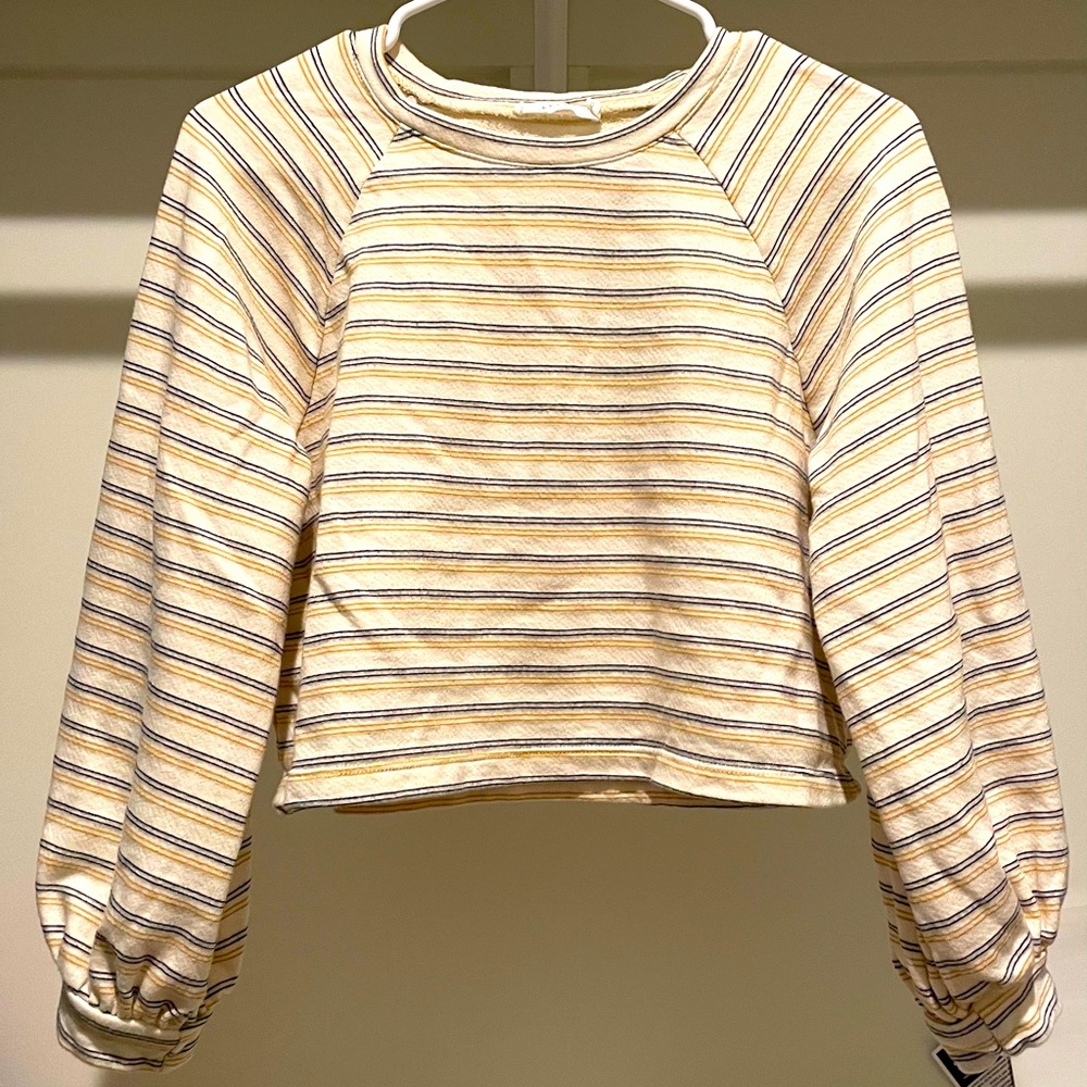Lush Cropped Sweater